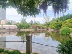 -嘉定紫藤园