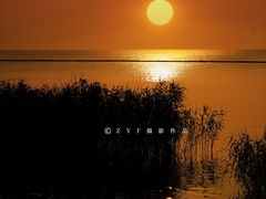 -西京湾花海