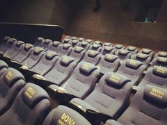 -博纳国际影城IMAX(中央大道店)