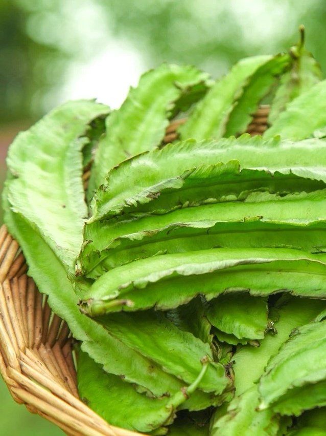 维生素e之王的蔬菜