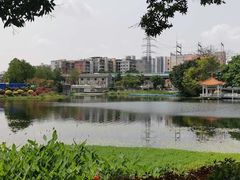 -荔湾湖公园