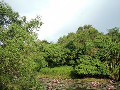 -白沙门生态公园