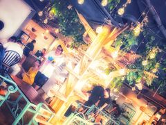 -共舞时光猫咖·狗咖(新街口店)