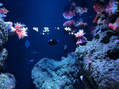 -成都浩海立方海洋公园