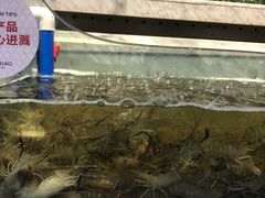 -川骄海鲜自助(河东店)