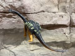 -辽宁古生物博物馆