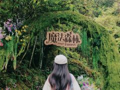 -龙湾潭国家森林公园