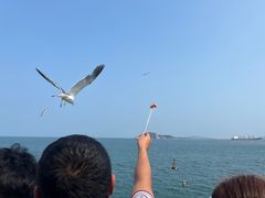 -海驴岛(荣成市)