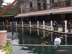 -湖鲜楼