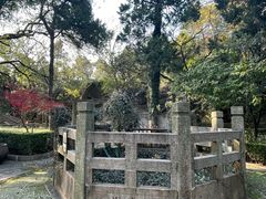 -灵岩山风景区