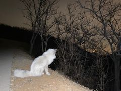 -鬼笑石后山停车场