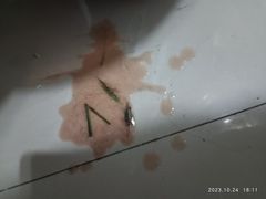 -派联宠物医院·24h·CT·异宠