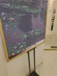 -欧扬医疗美容