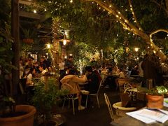 -The Grounds of Alexandria
