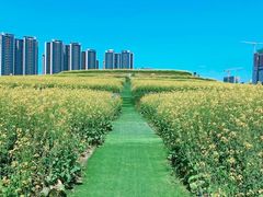 -光明小镇欢乐田园