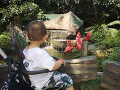 -无锡动物园·太湖欢乐园