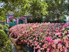 -乐华城·88度温泉乐园