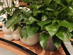 -胖老汉新疆特色椒麻鸡(南门店)