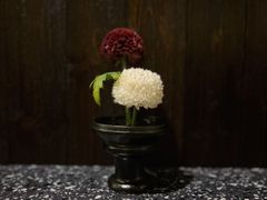 -灶咖KITCHEN