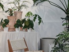 -自由生长植物工作室(深港花卉中心店)
