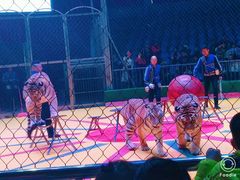 -西安秦岭野生动物园