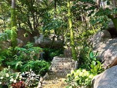 -沂蒙山旅游区云蒙景区(蒙山国家森林公园)