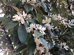 -白塘生态植物园