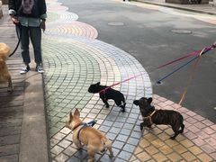 -贮水山儿童公园