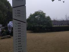 -华东政法大学(松江校区)