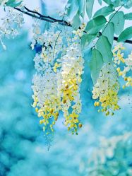 -Oasis Beauty水磨坊科技美肤中心