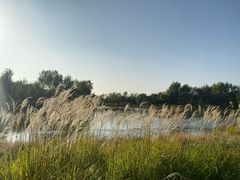 -东郊湿地公园