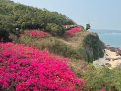 -涠洲岛火山国家地质公园