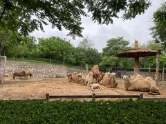 -石家庄市动物园