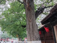 -胡氏古民居建筑