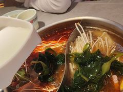 -宴全牛粤来越牛潮汕鲜牛肉火锅(海州万达广场店)