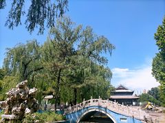 -保定市动物园
