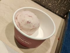 哈根达斯-大渔铁板烧(蛇口店)