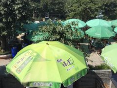-老幺泉水鸡