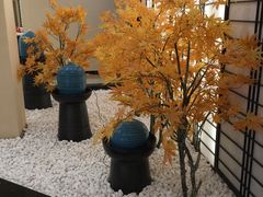 -汤里来温泉