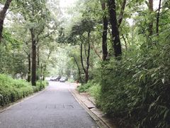-杭州西湖风景名胜区-满觉陇四眼井