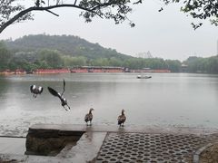 -南翠屏公园
