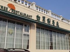 -青岛海景花园大酒店·白果树餐厅青岛菜