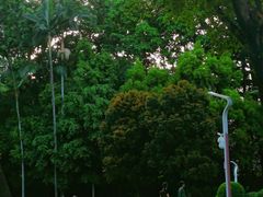 -人民公园(罗湖区)