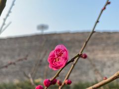 -北京明城墙遗址公园