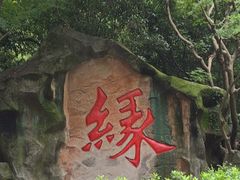 -杭州黄龙洞