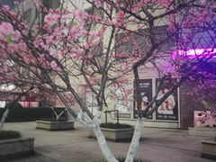 -鲜丰水果(万尚城店)