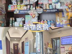 -宠爱国际动物医院·疑难骨科·心肾内科·皮肤科(太阳宫店)
