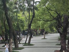 -荔湾湖公园