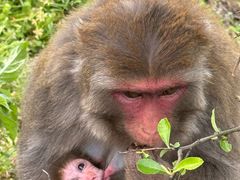 -重庆云阳龙缸景区