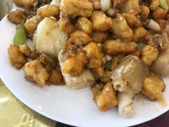 鸿运八珍豆腐-桃子餐厅·天津菜(红星路直营店)